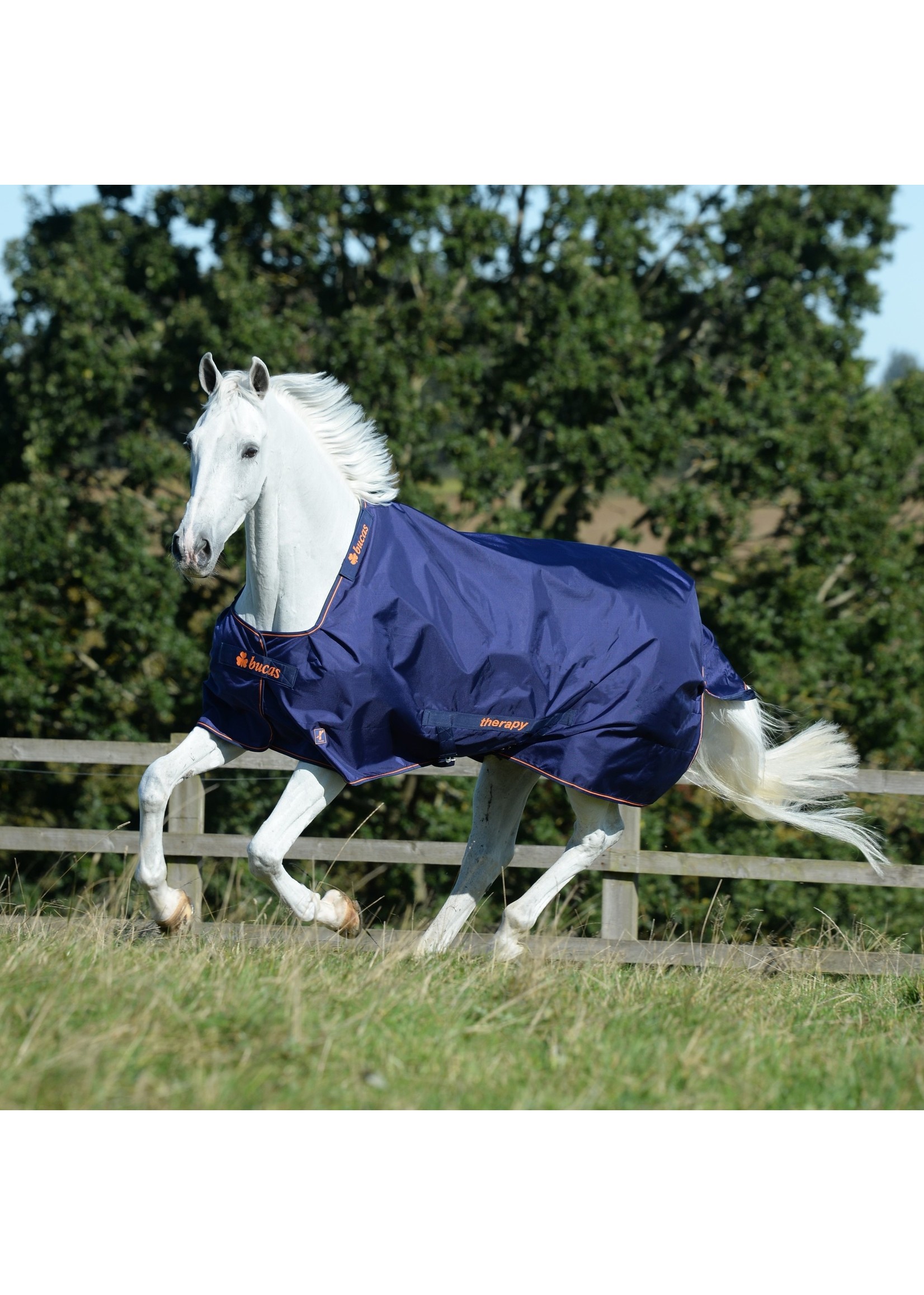 Bucas Therapy Turnout 150