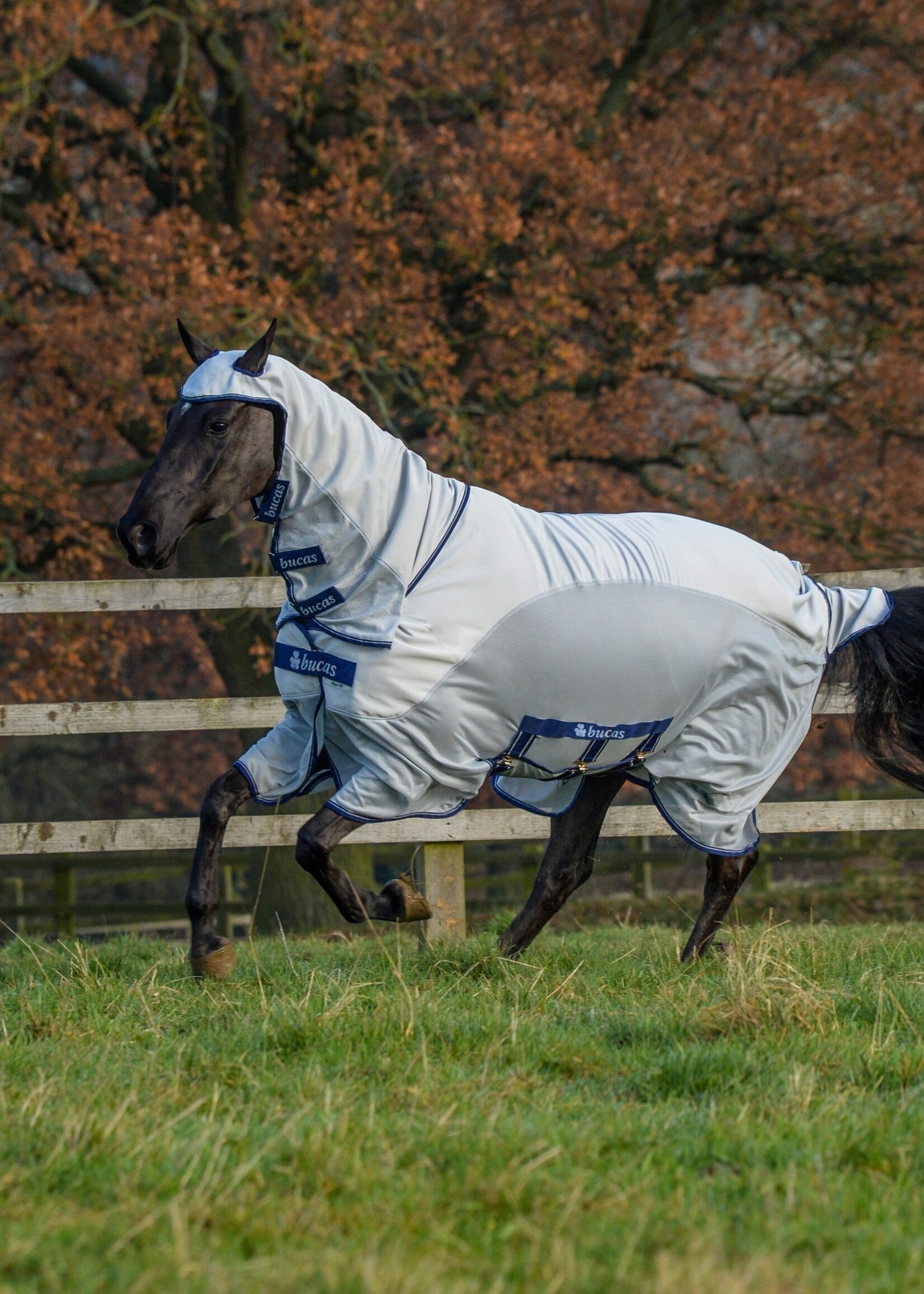 Bucas Sweet-itch X Light Silver Bucas