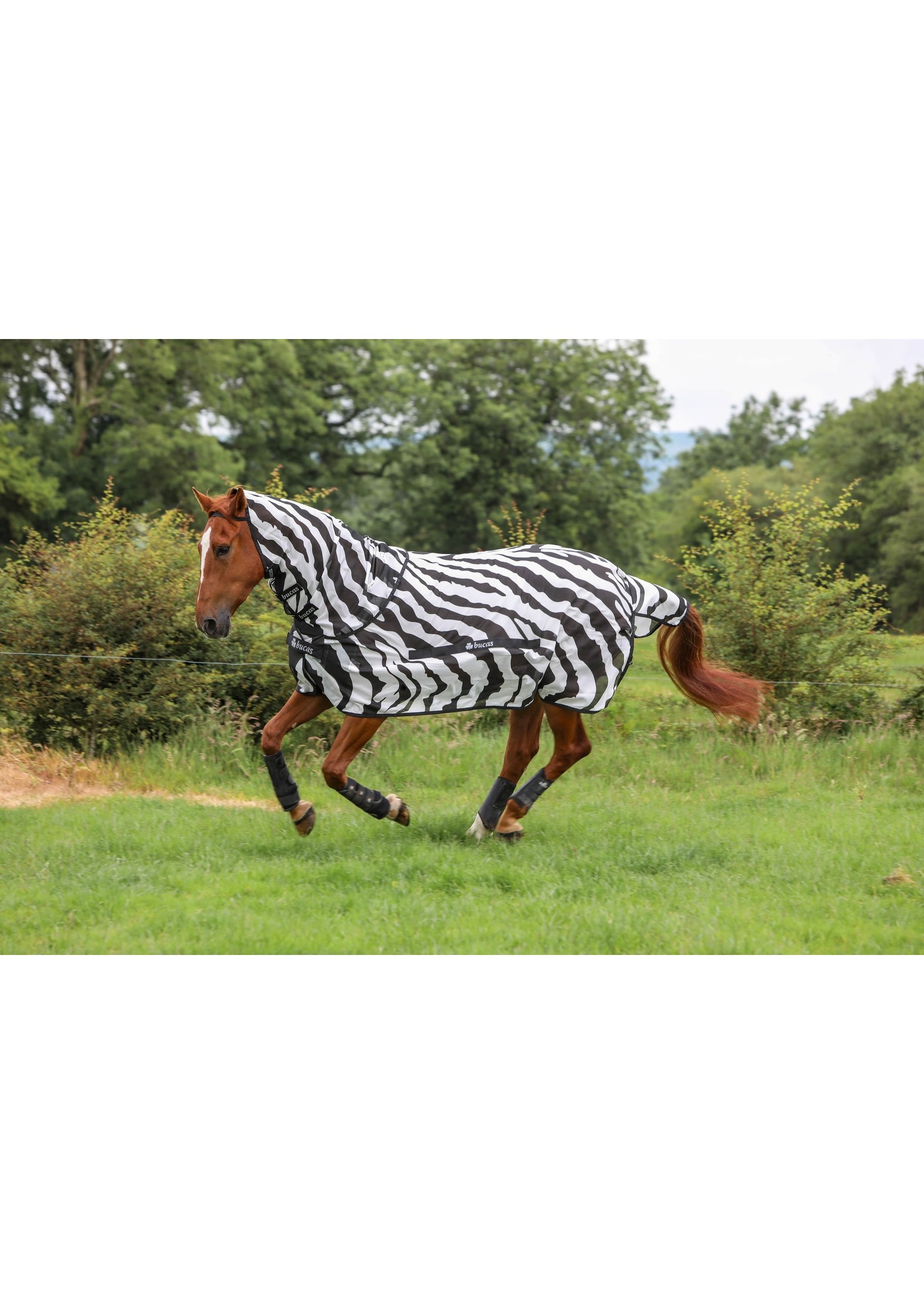 Bucas Buzz-Off Zebra & Neck Bucas