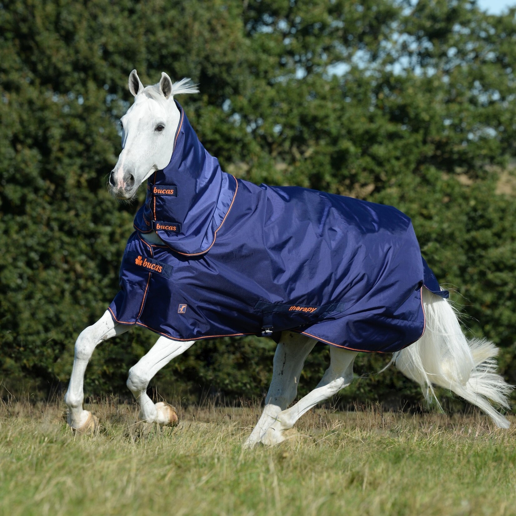 Bucas Therapy Turnout Neck Bucas