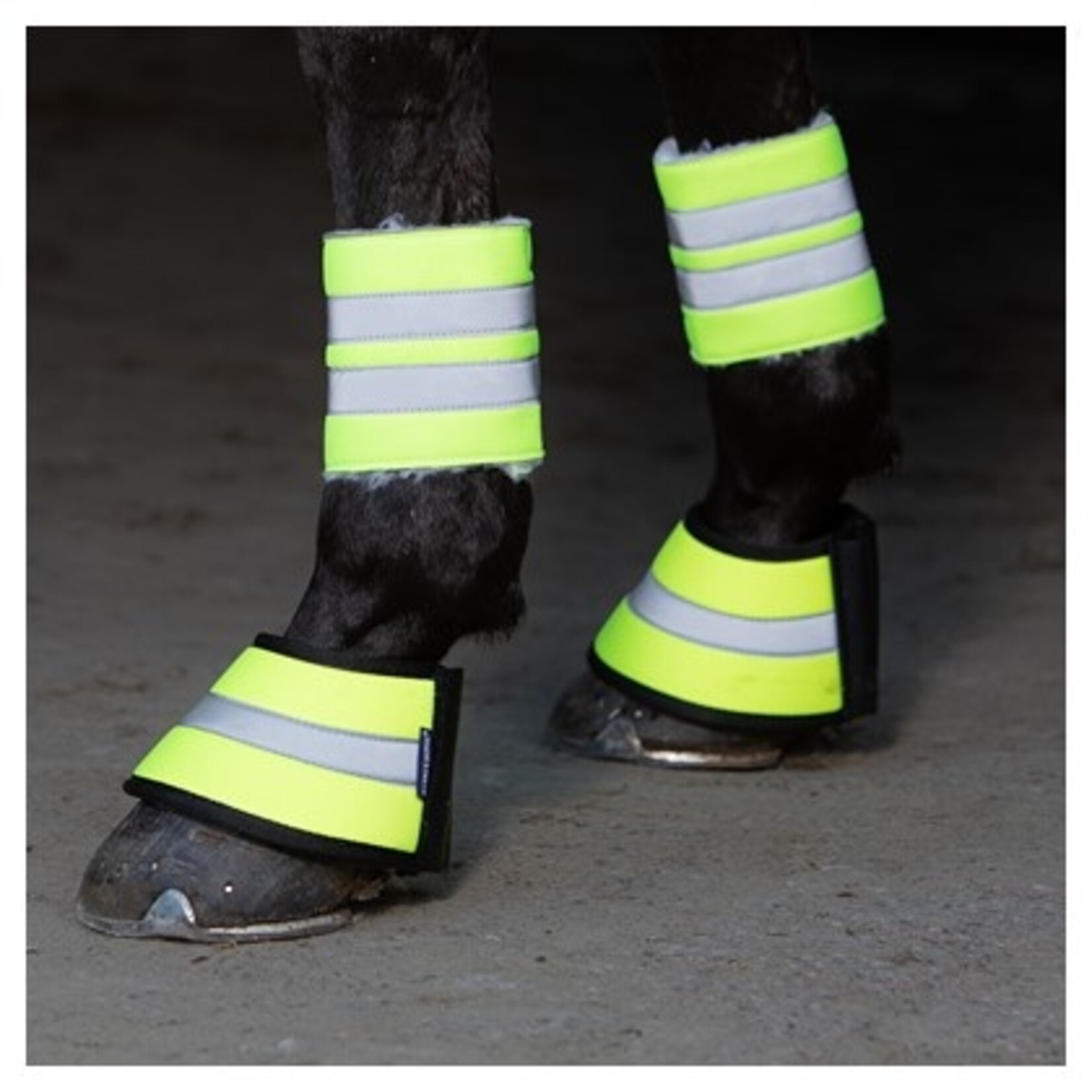 Harry's Horse Wrap Reflective Harry's Horse