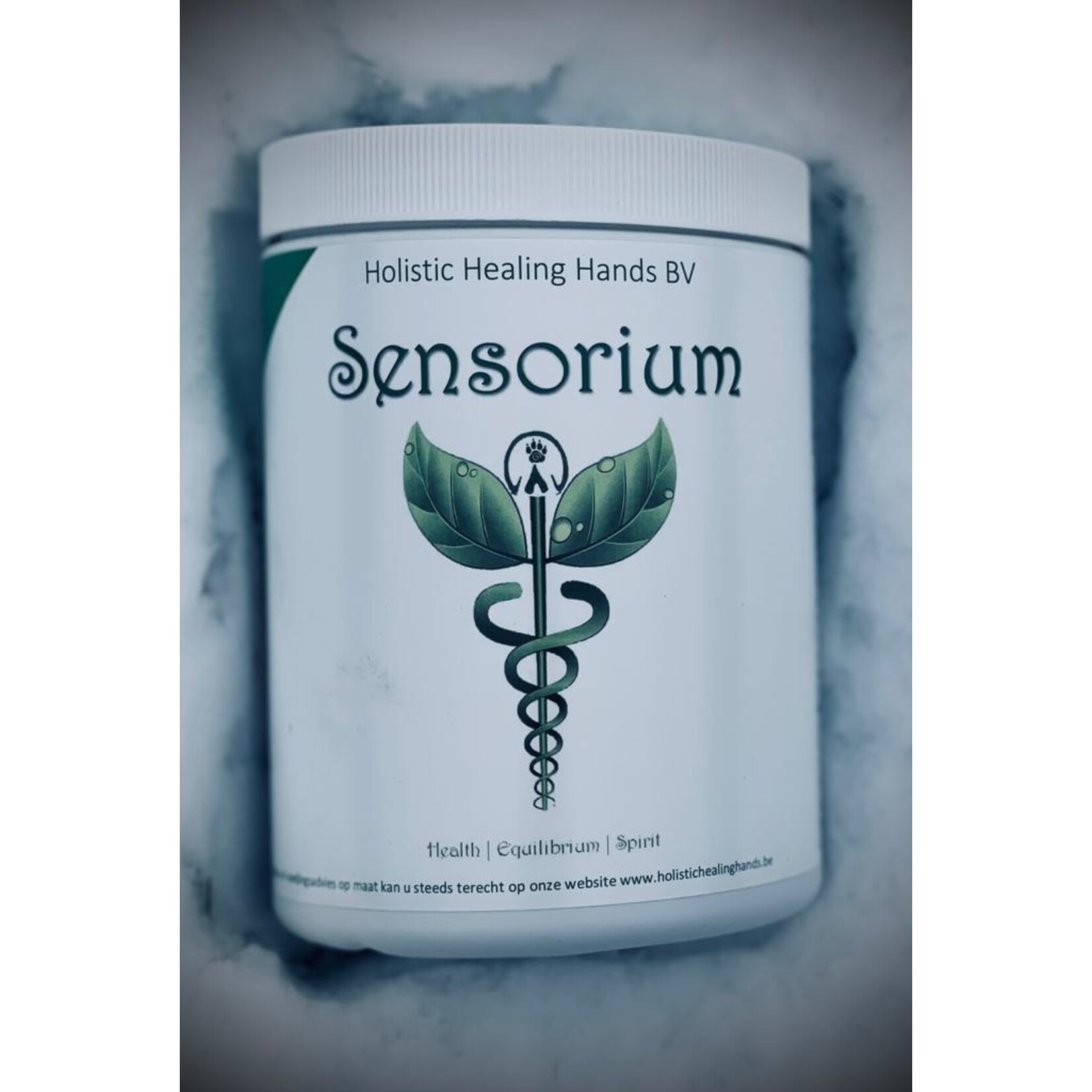 Holistic Healing Hands Sensorium Holistic Healing Hands