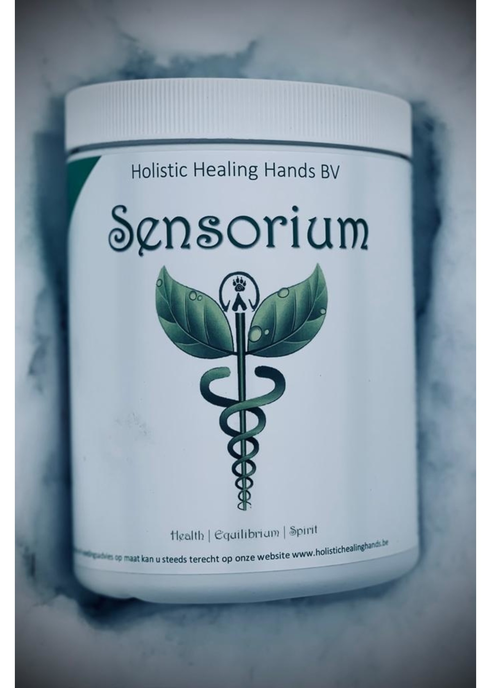 Holistic Healing Hands Sensorium Holistic Healing Hands