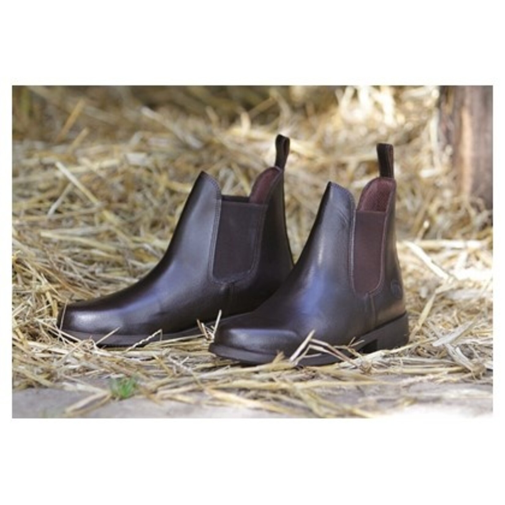 Harry's Horse Jodhpur leder Saint Harry's Horse