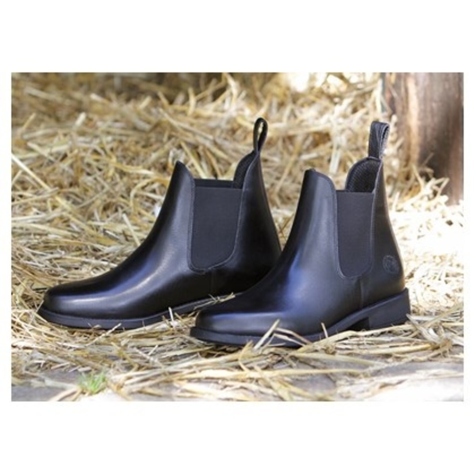 Harry's Horse Jodhpur leder Saint Harry's Horse