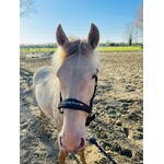 Halsterset Estable Jerezano