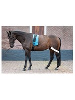 Harry's Horse Longeerhulpteugel