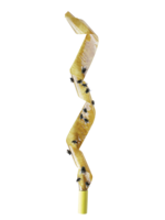 BSI Aeroxon Vliegenvanger 4 st.