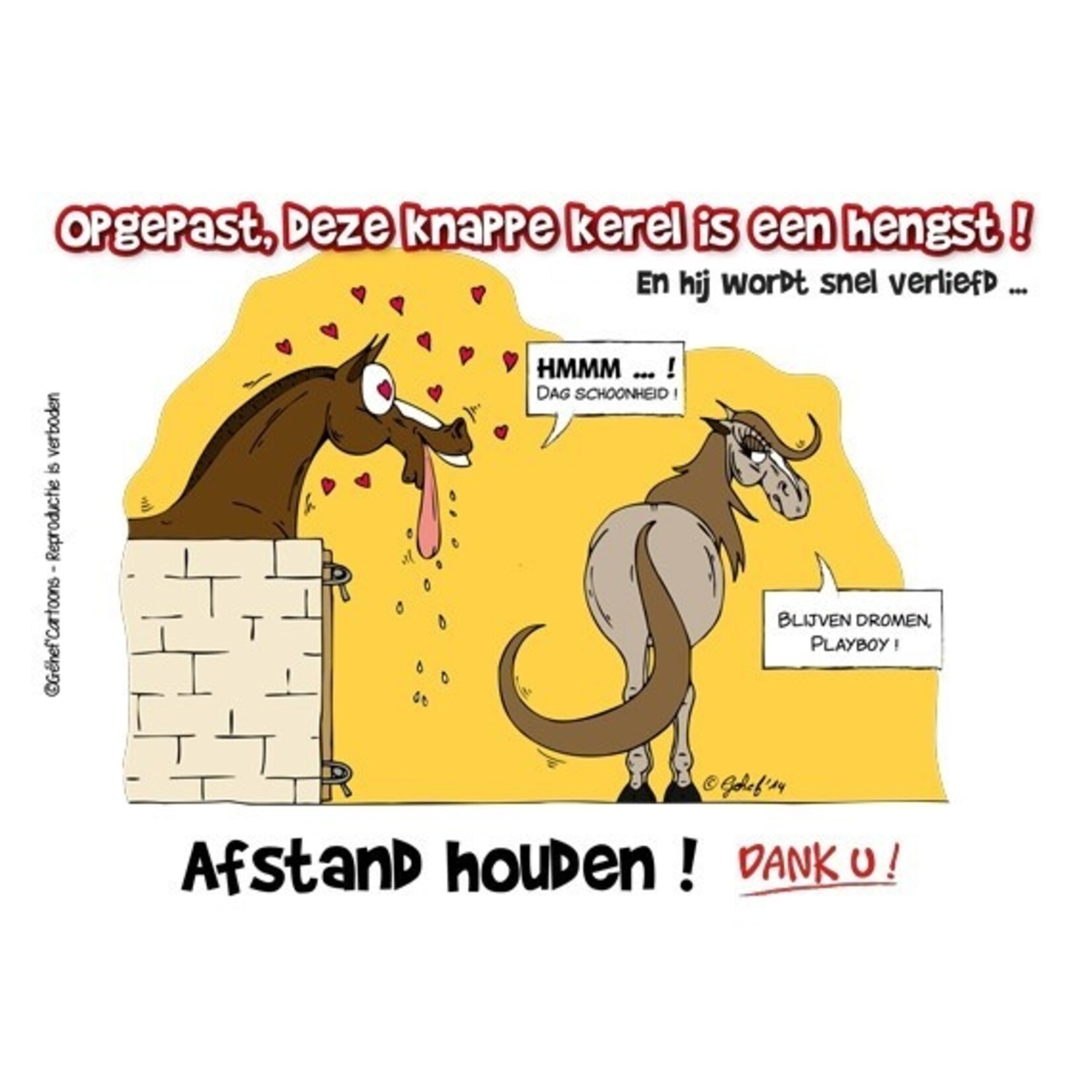 Stalplaat - Afstand houden! Hengst HB Ruitersport