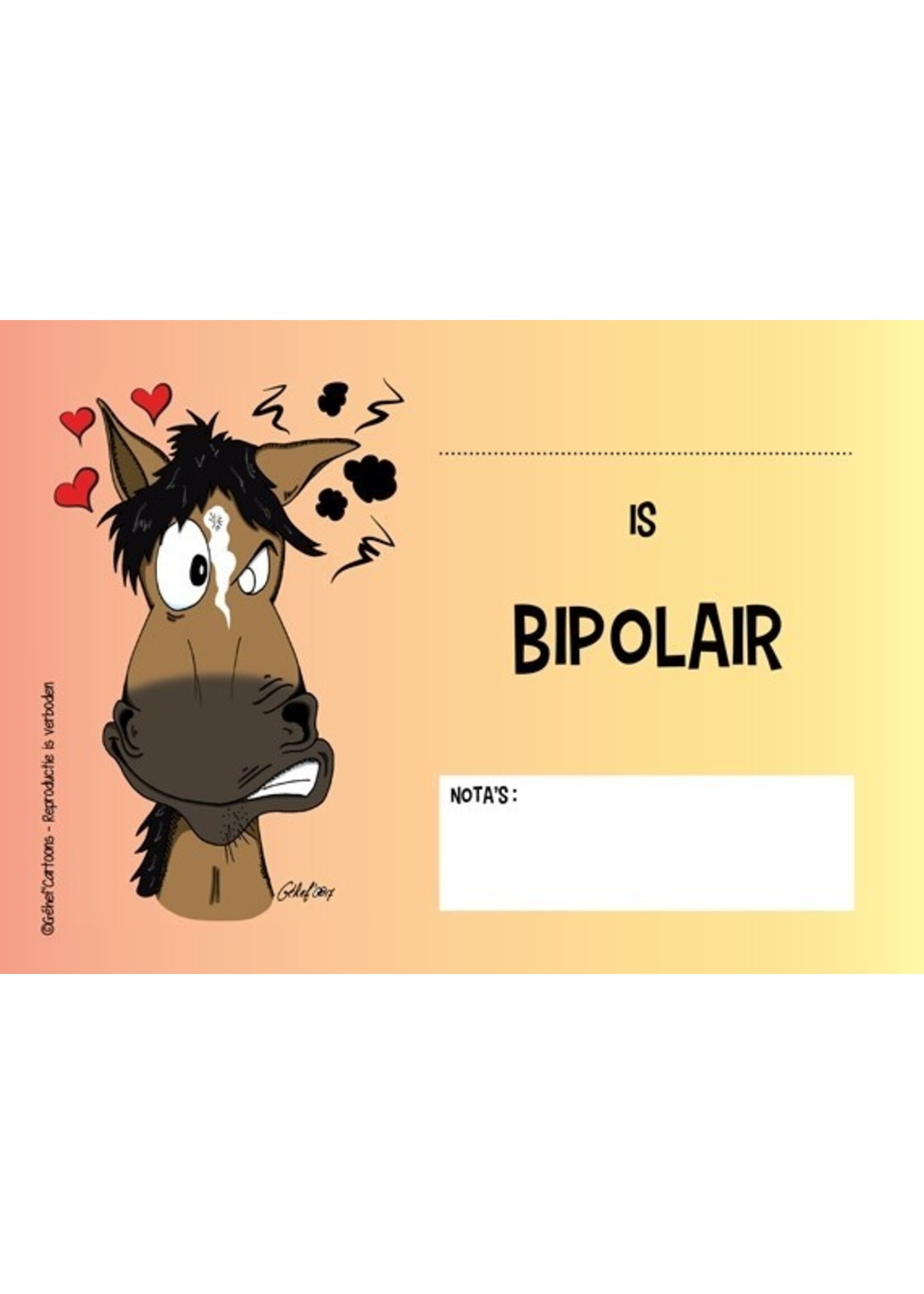 Stalplaat - Bipolair HB Ruitersport