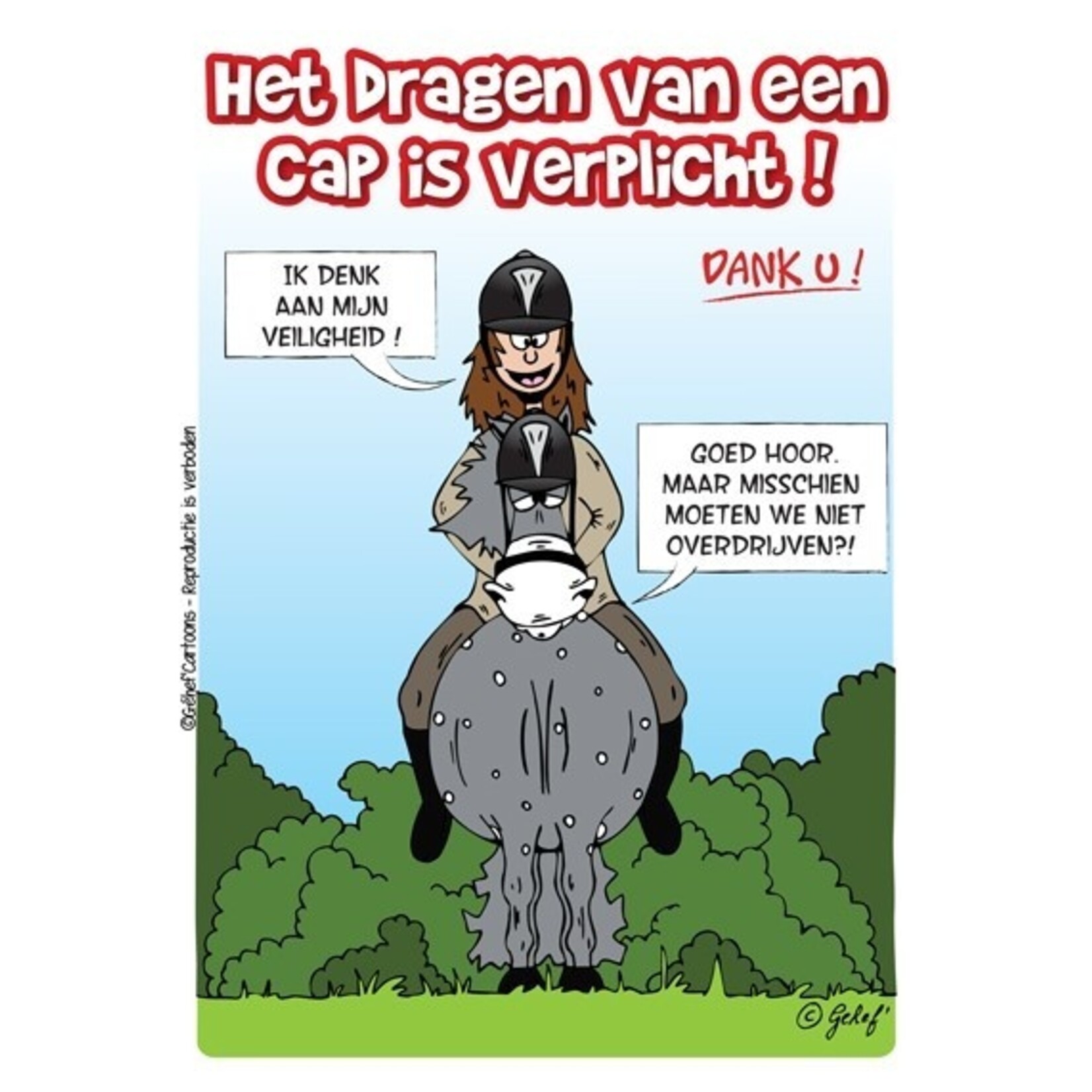 Stalplaat - Cap verplicht HB Ruitersport