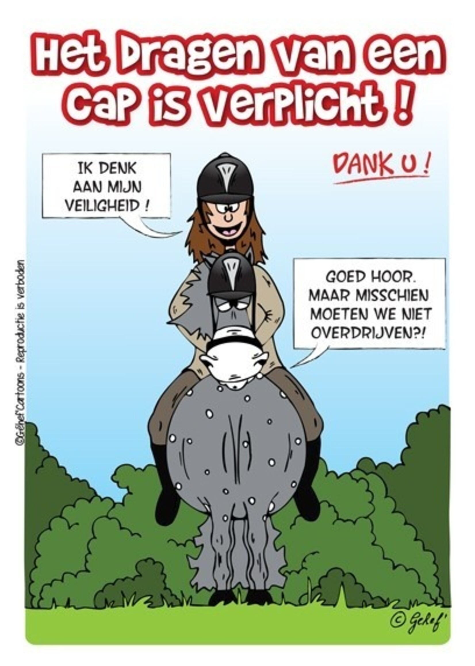 Stalplaat - Cap verplicht HB Ruitersport