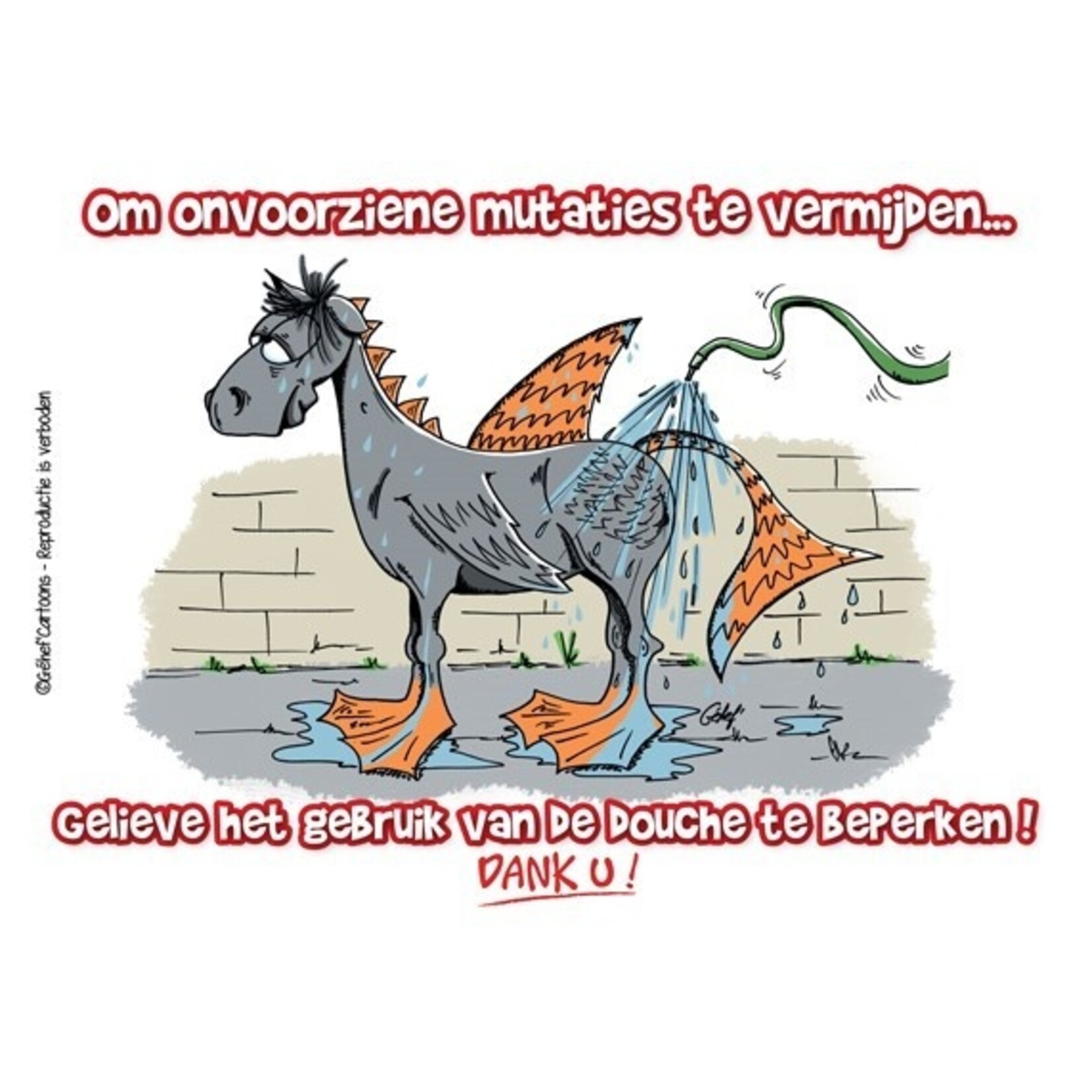 Stalplaat - Douche beperken HB Ruitersport