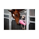 Horse Toy Round Carrot