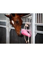 Horse Toy Round Carrot