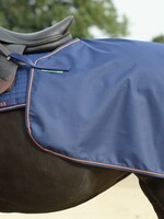 Bucas Therapy Quarter Sheet