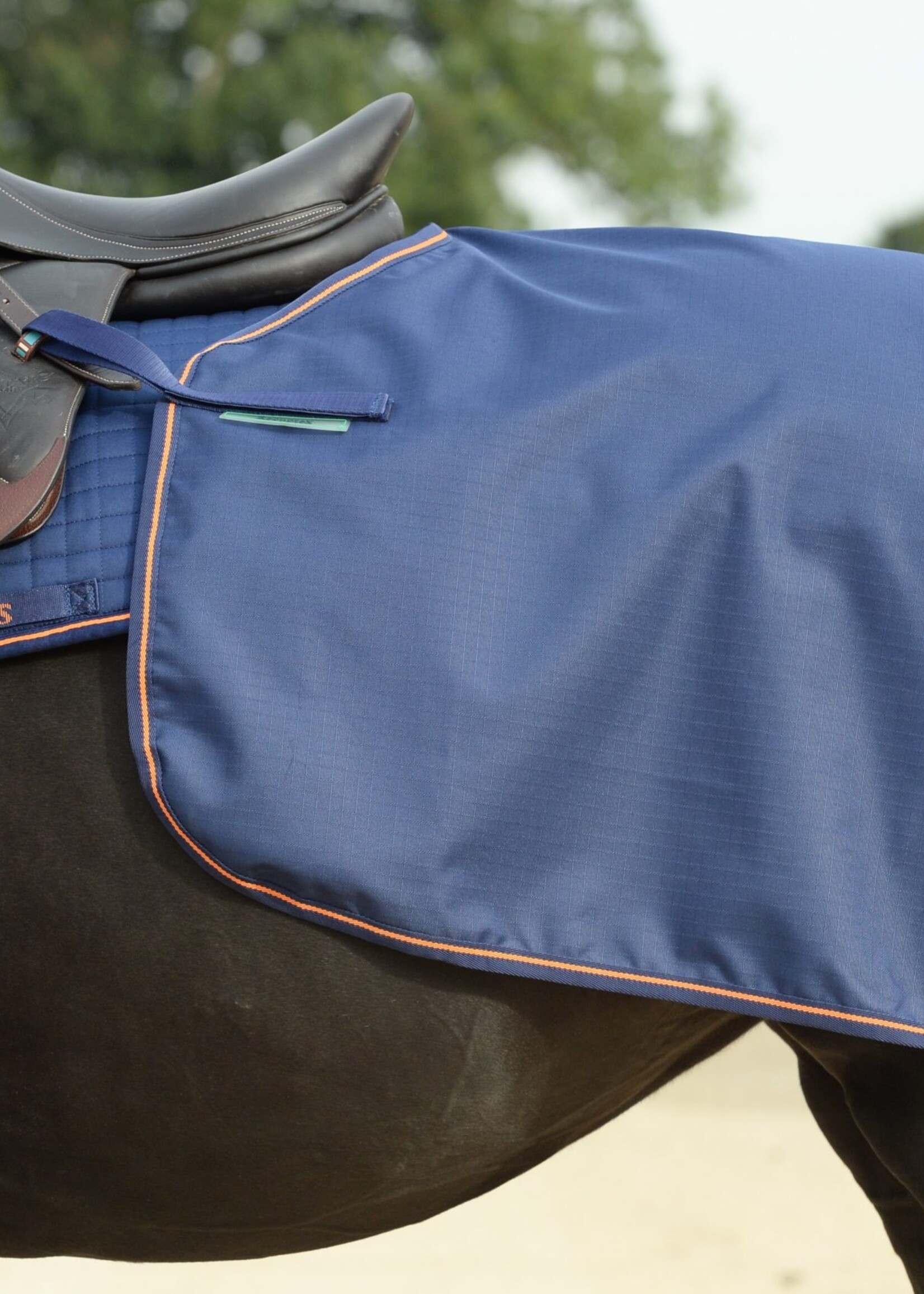 Bucas Therapy Quarter Sheet