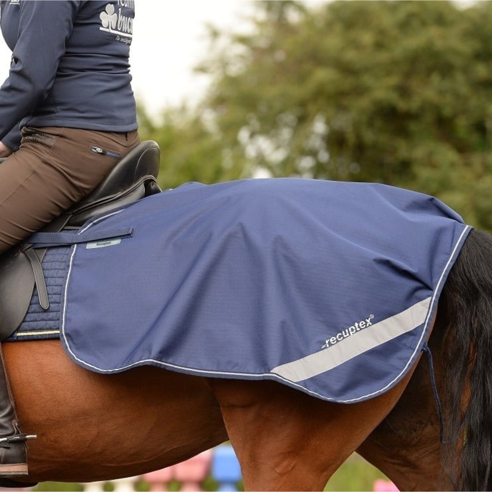 Bucas Therapy Quarter Sheet