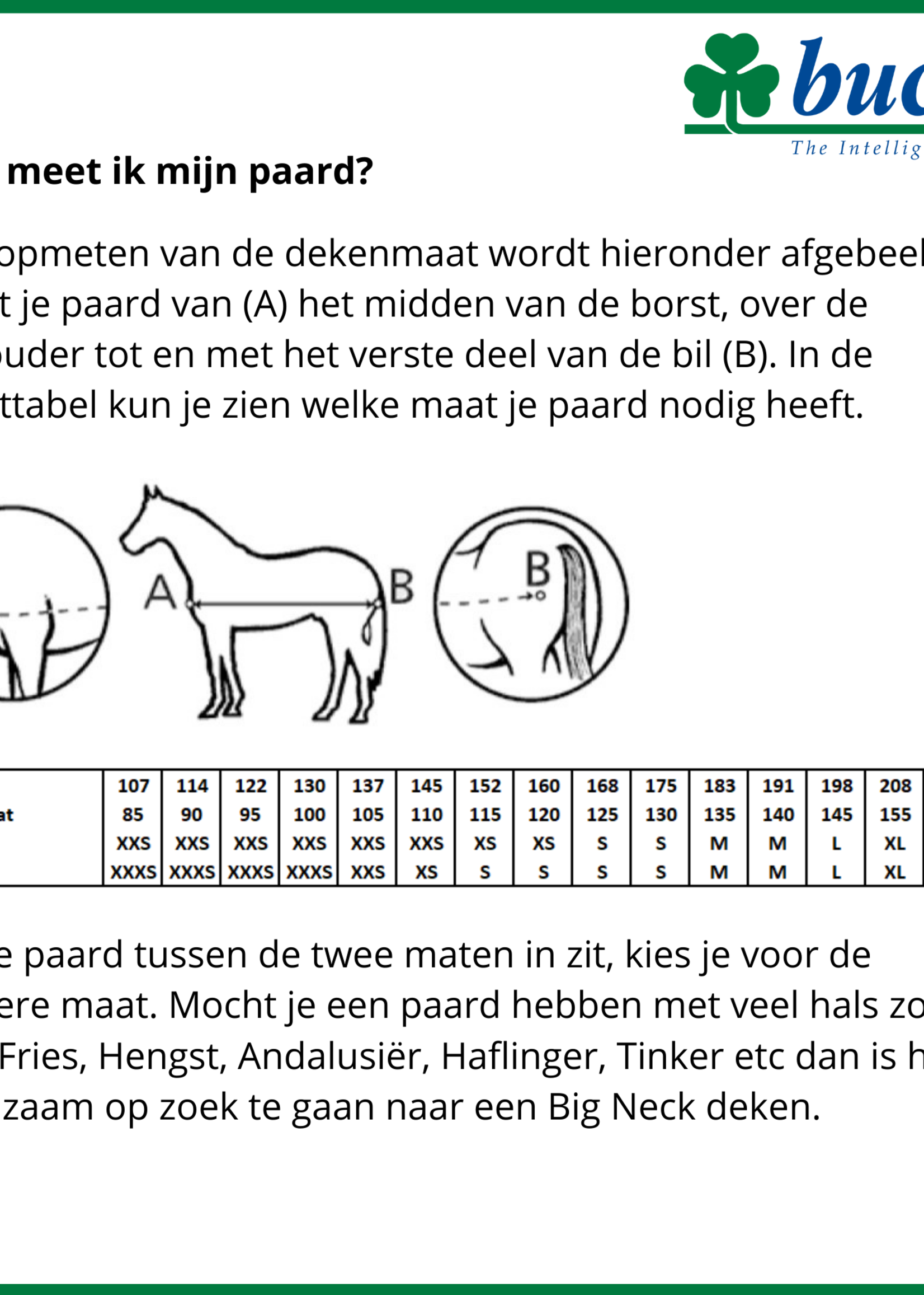 Bucas Therapy Quarter Sheet