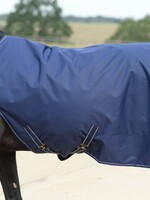 Bucas Therapy walker