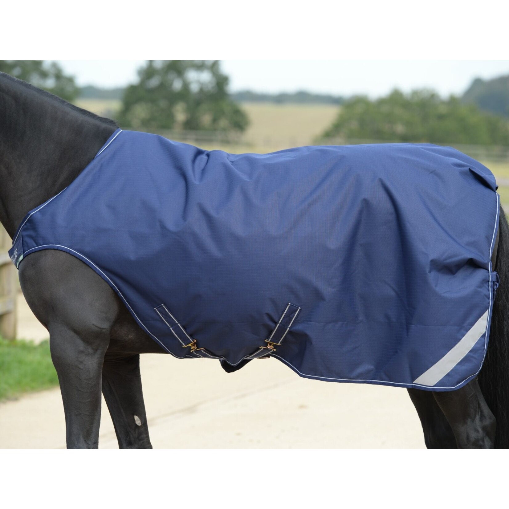 Bucas Therapy walker