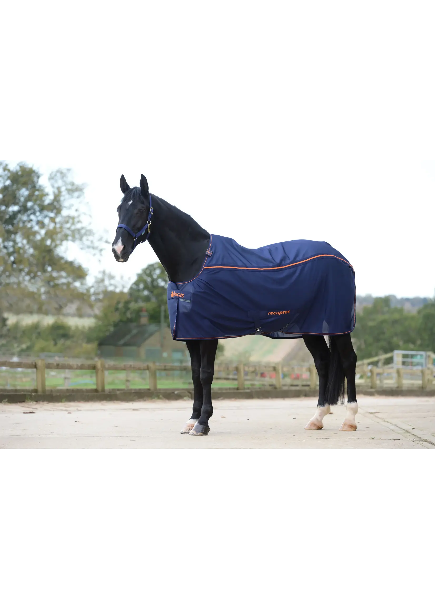 Bucas Bucas Therapy Mesh Cooler