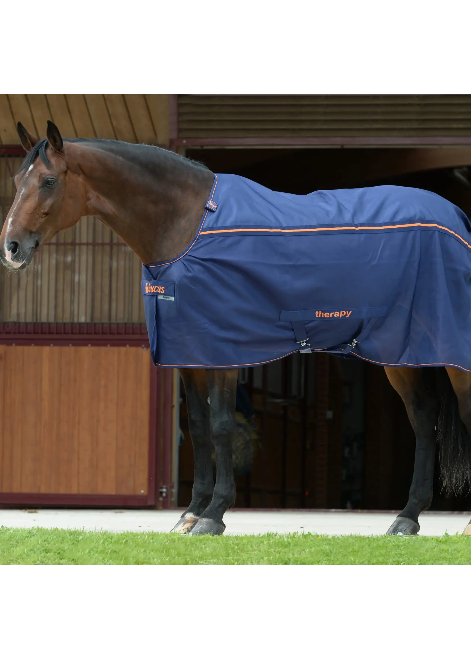 Bucas Bucas Therapy Mesh Cooler