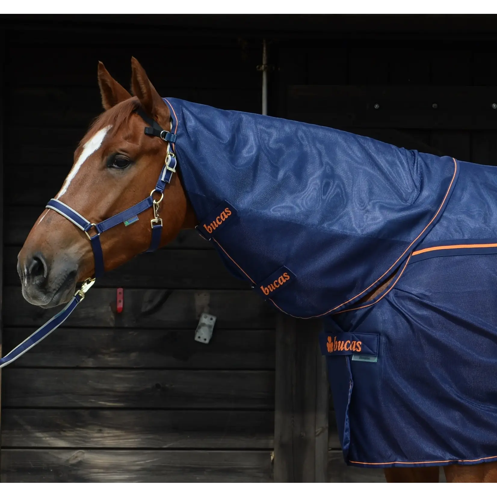 Bucas Therapy Mesh Neck