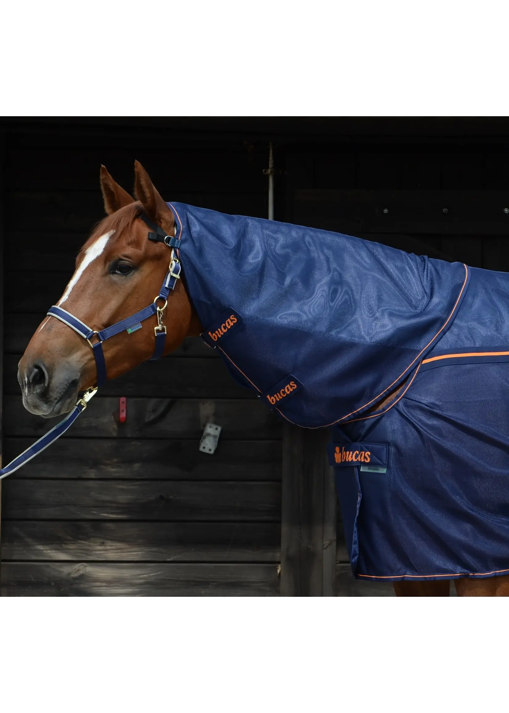 Bucas Therapy Mesh Neck