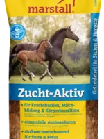 Marstall Fokkerij-Actief (Zucht-Aktiv)