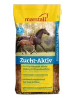 Marstall Fokkerij-Actief (Zucht-Aktiv)