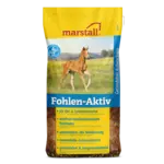 Marstall Veulen-Actief (Fohlen-Aktiv)