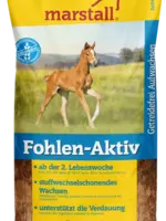 Marstall Veulen-Actief (Fohlen-Aktiv)