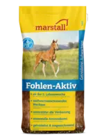Marstall Veulen-Actief (Fohlen-Aktiv)