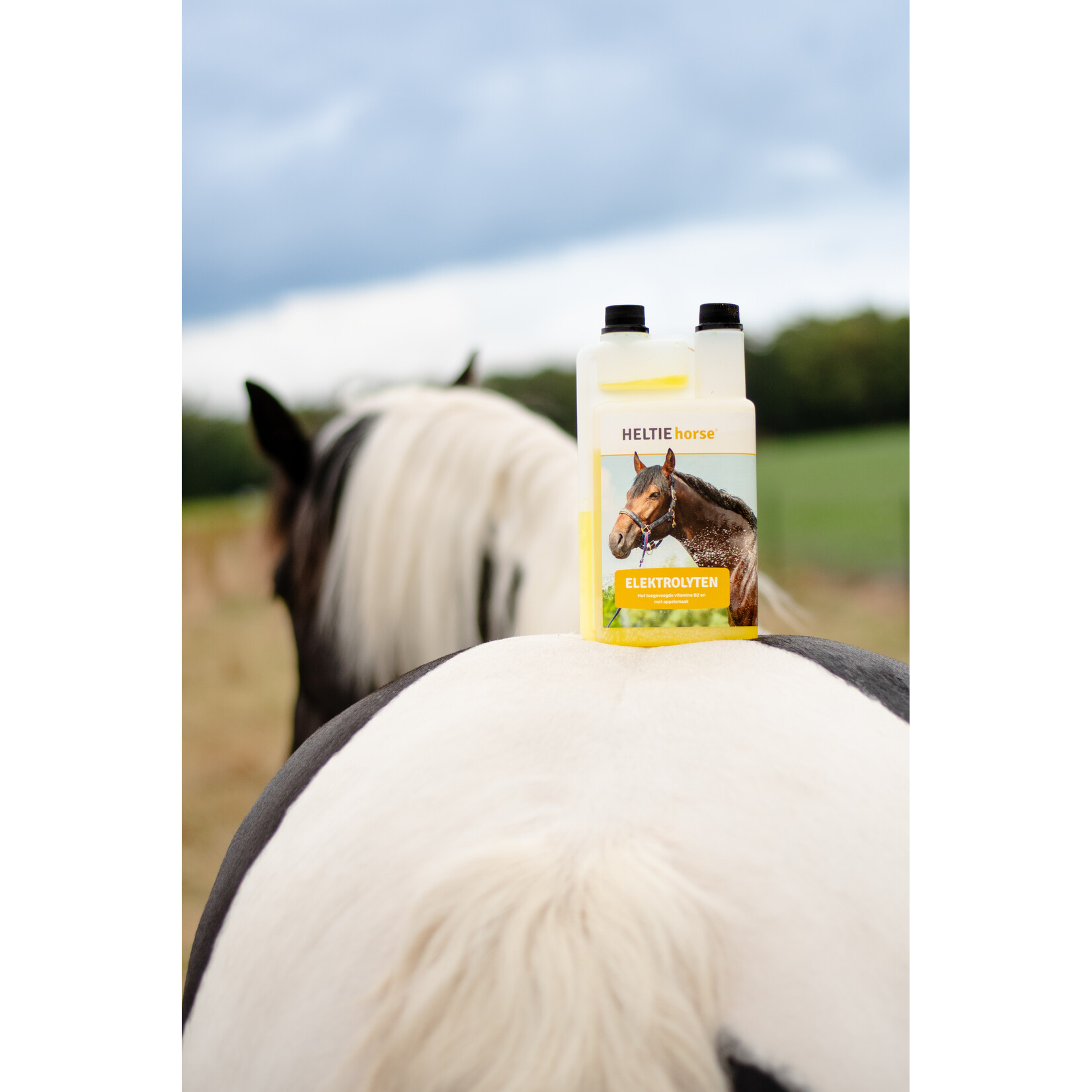Heltie Horse Heltie Horse Elektrolyten