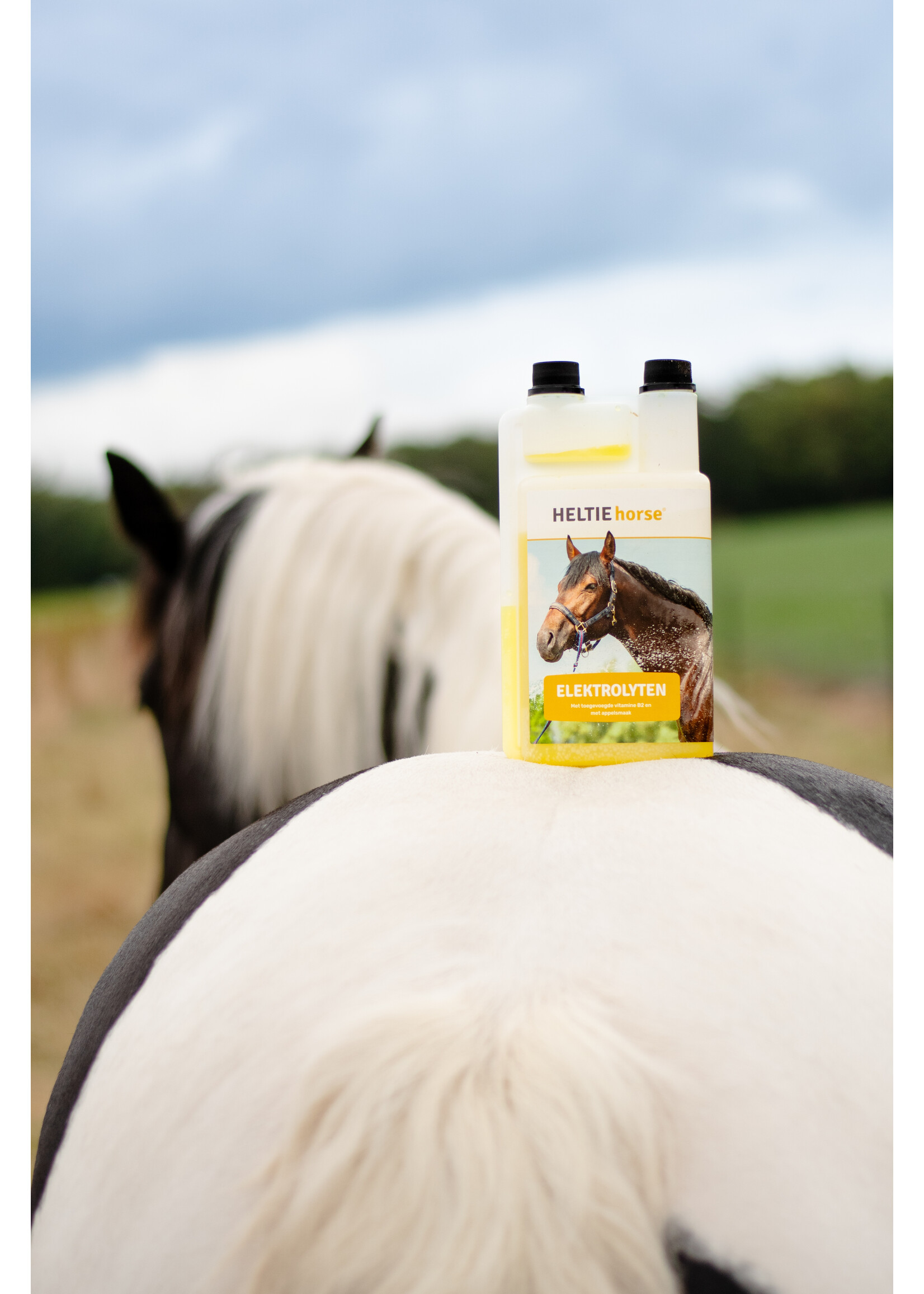 Heltie Horse Heltie Horse Elektrolyten