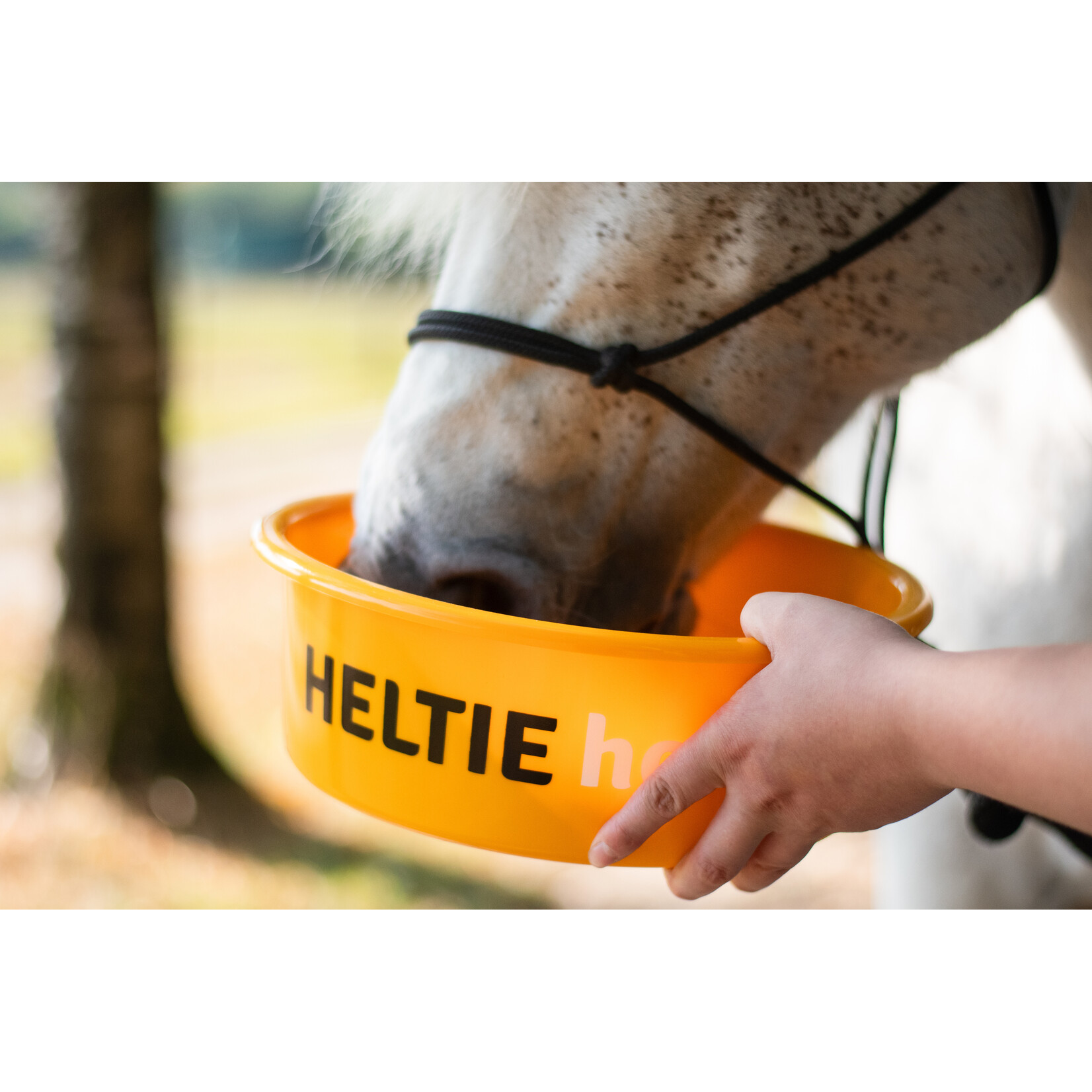 Heltie Horse Heltie Horse Elektrolyten