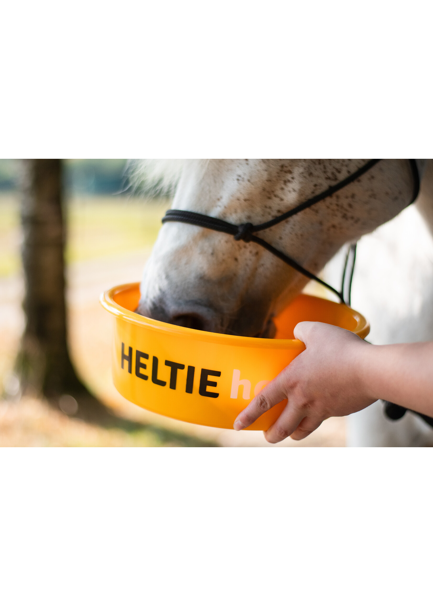 Heltie Horse Heltie Horse Elektrolyten