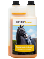 Heltie Horse Magnesium