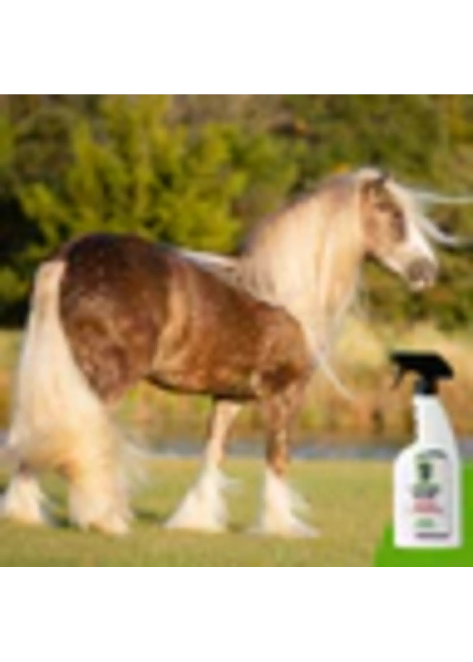 Cowboy Magic Super body shine Cowboy Magic