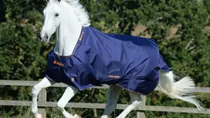 Het belang van paardendekens en wanneer ze te gebruiken.