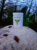 Holistic Healing Hands EquiArmor