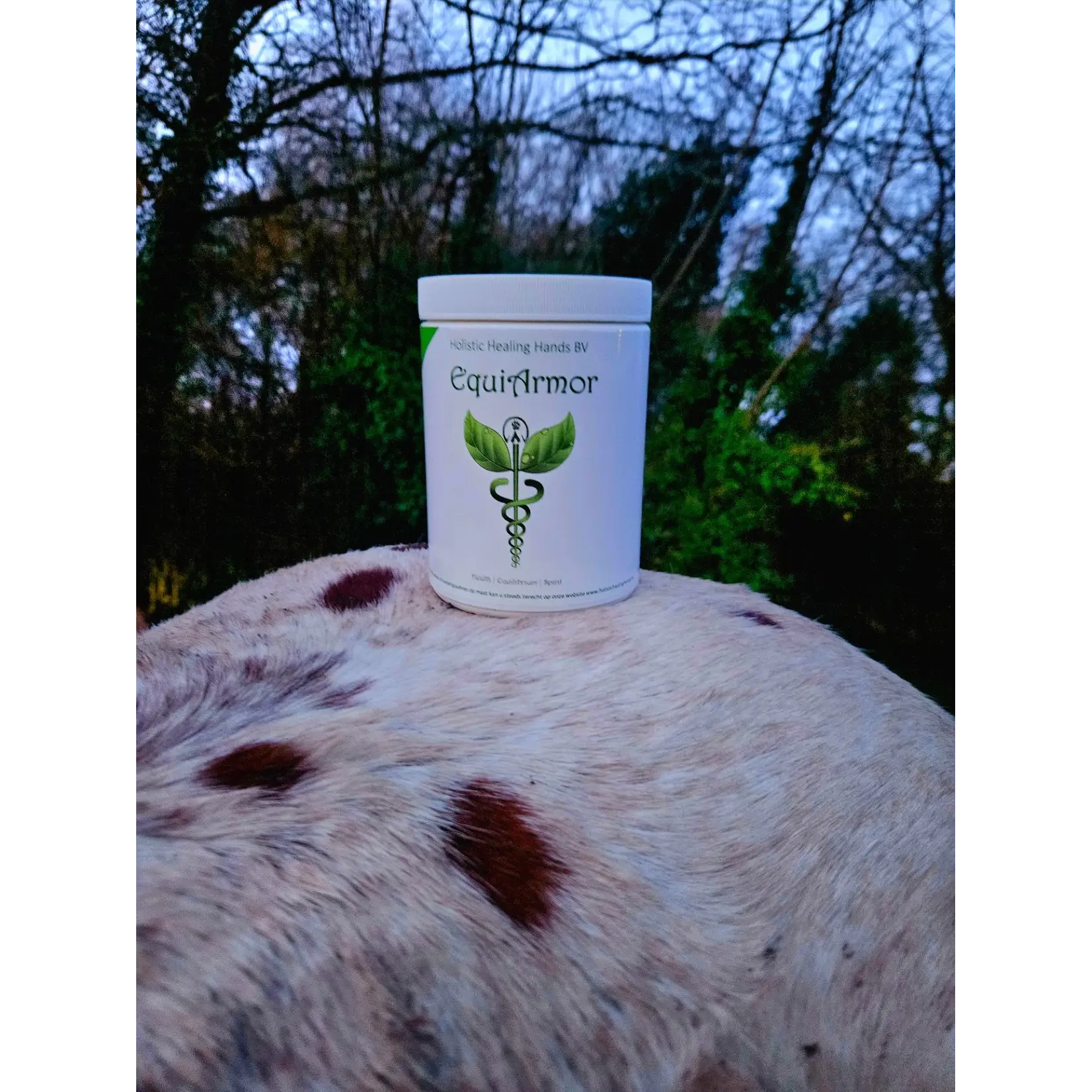 Holistic Healing Hands EquiArmor | Holistic Healing Hands