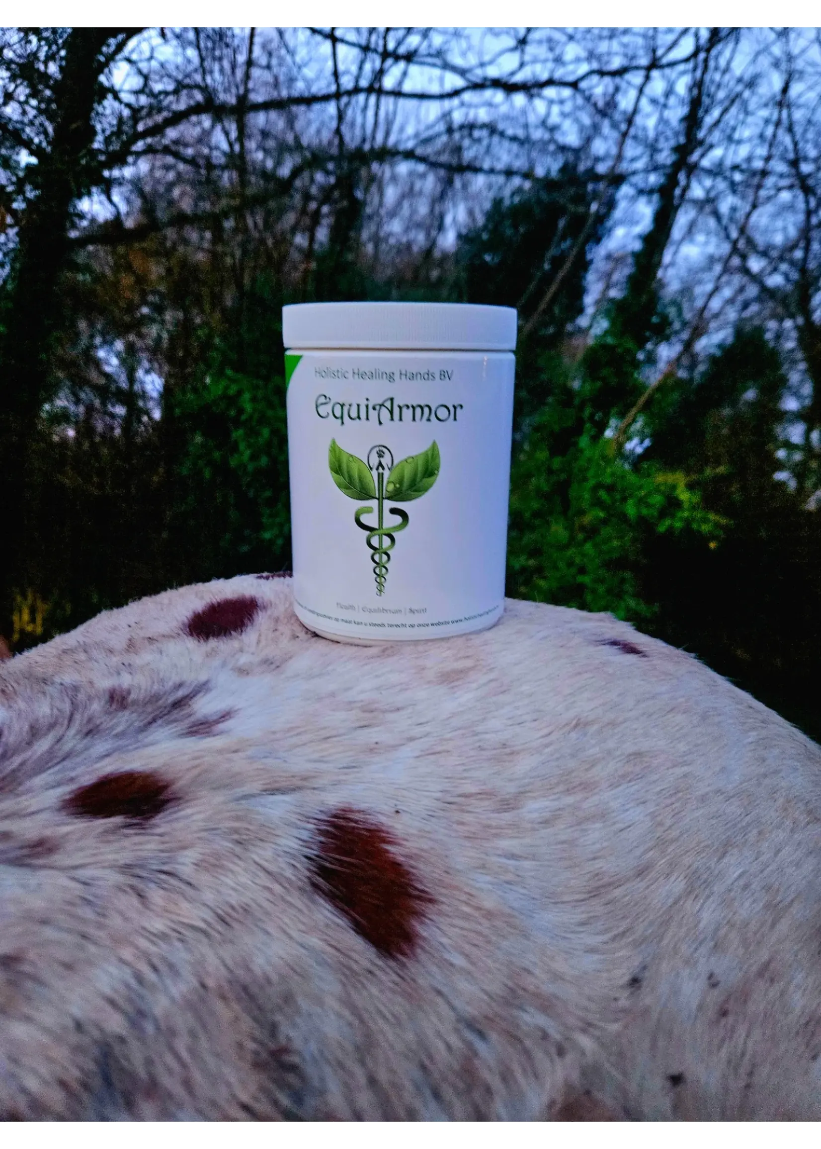 Holistic Healing Hands EquiArmor | Holistic Healing Hands