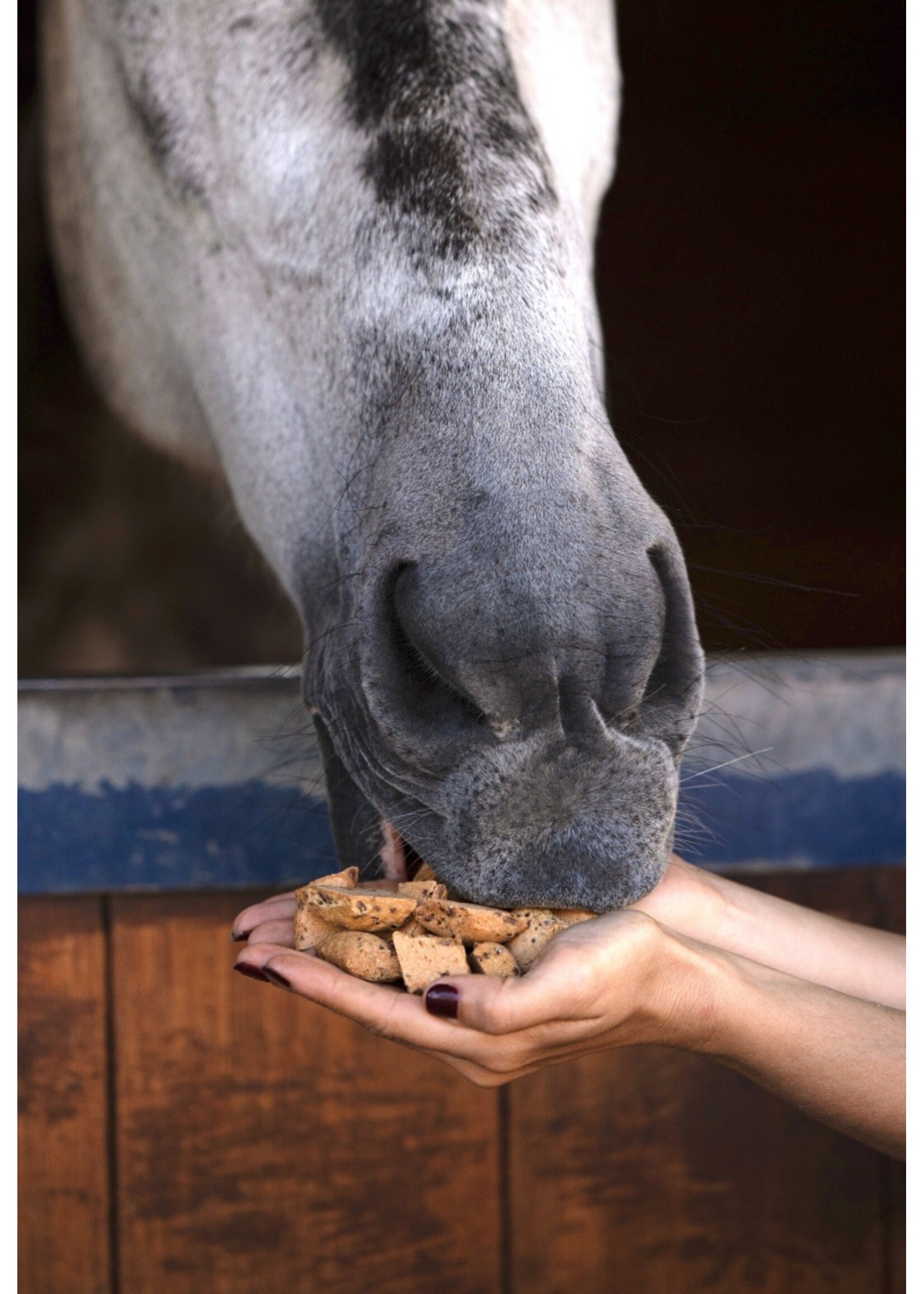 Candy Horse Hooves - Druif & Zonnebloem