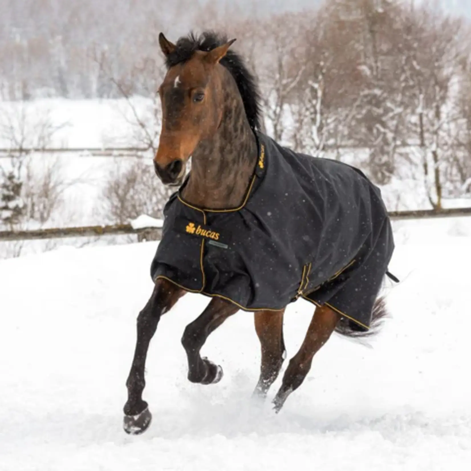 Bucas Bucas Irish Turhout Big Neck Light 50gr