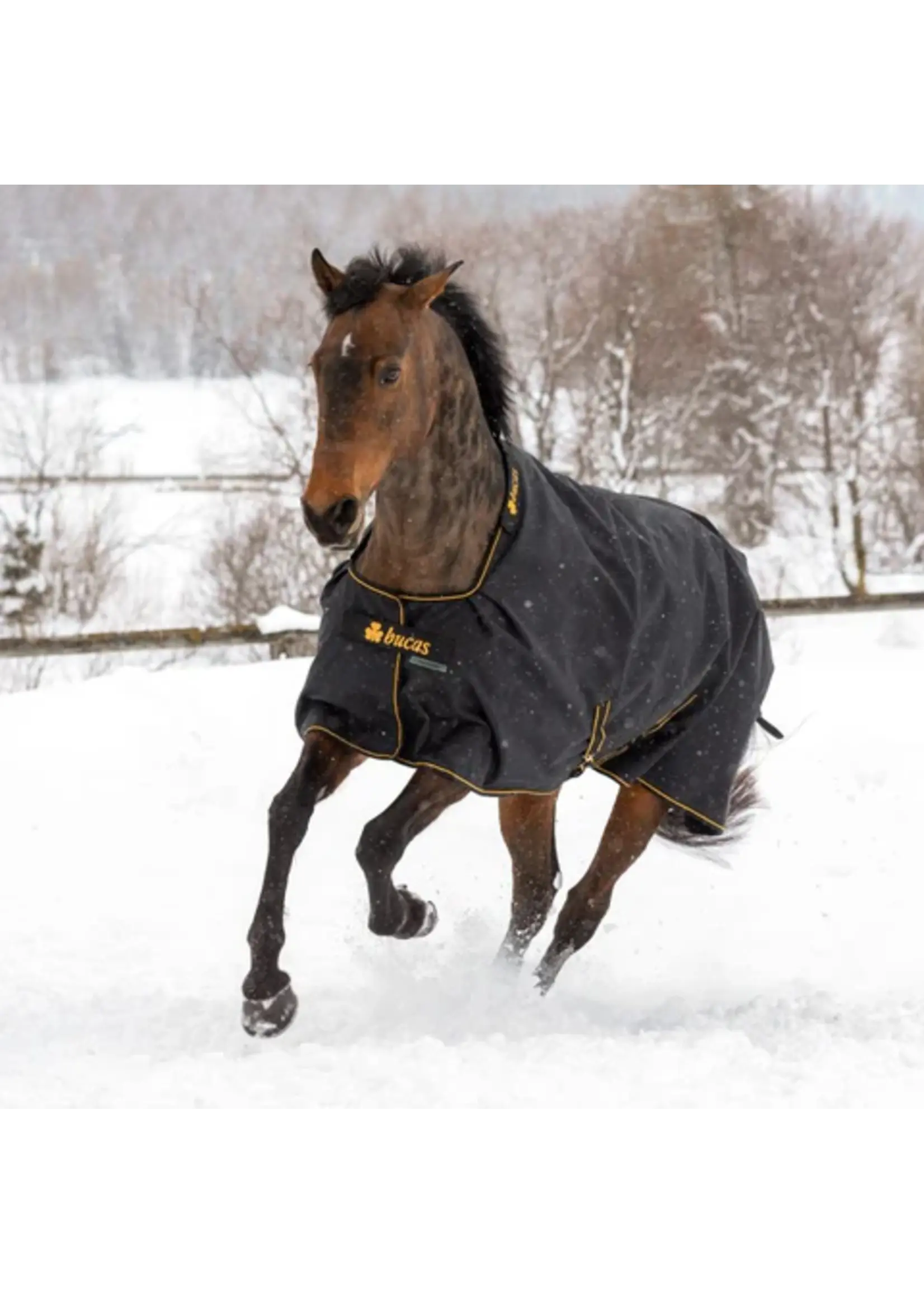 Bucas Bucas Irish Turhout Big Neck Light 50gr