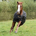 Bucas Bucas irish Turnout 0gr