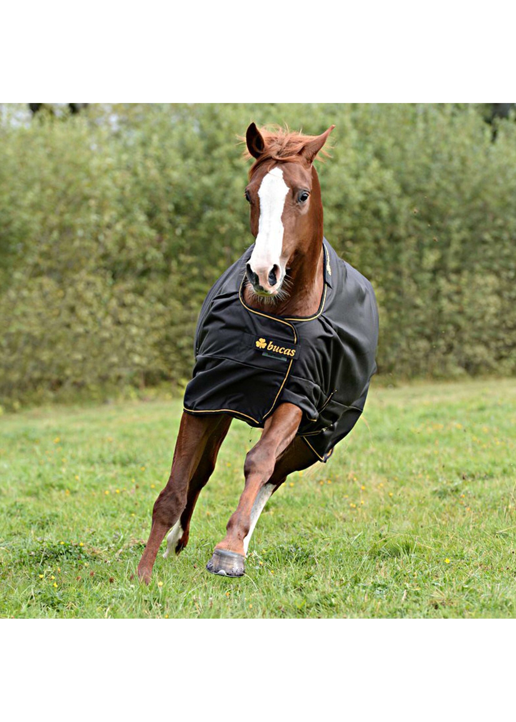 Bucas Bucas Irish Turnout 0gr