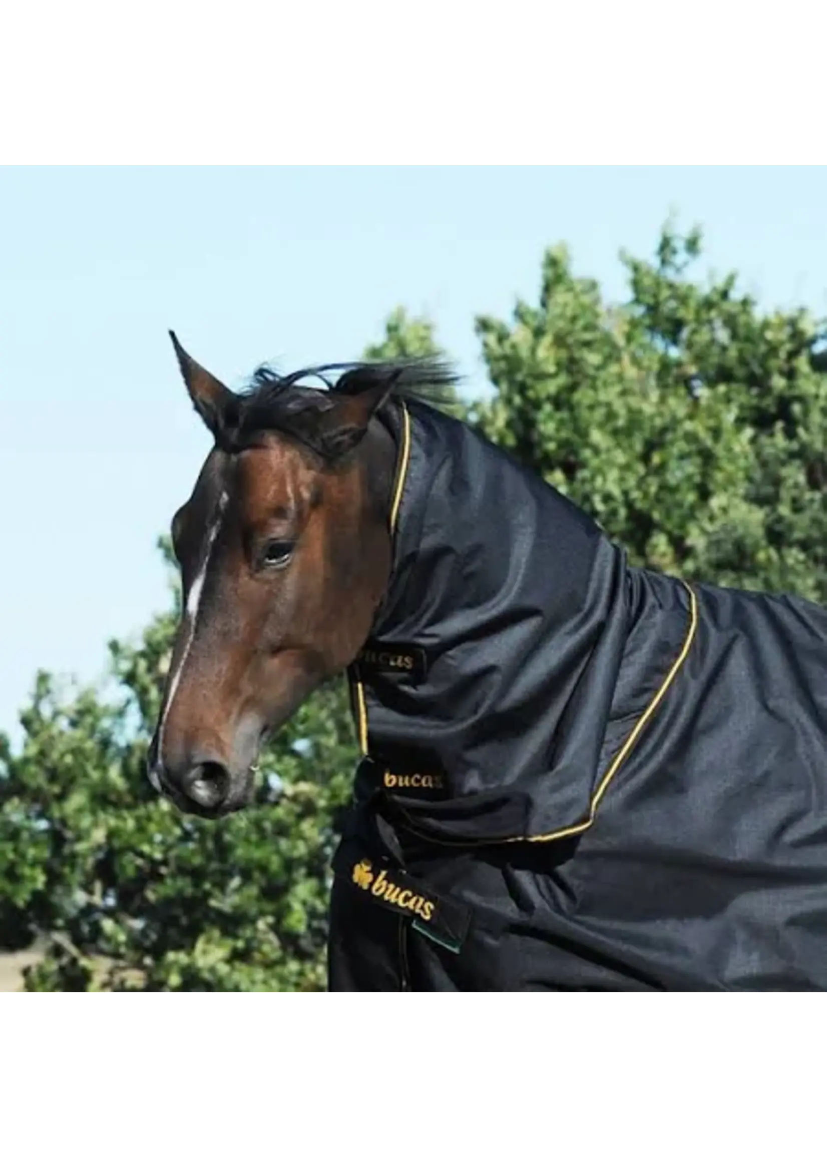 Bucas Bucas Irish Turnout Nek